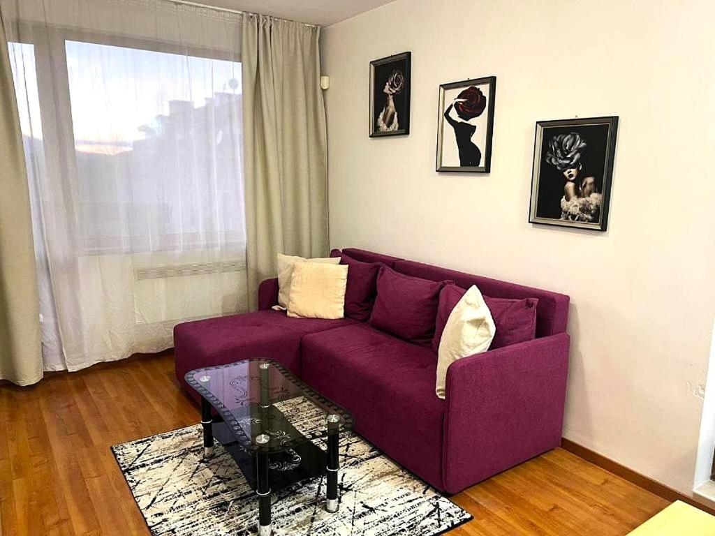Vip Apartment Belvedere Club 班斯科 外观 照片
