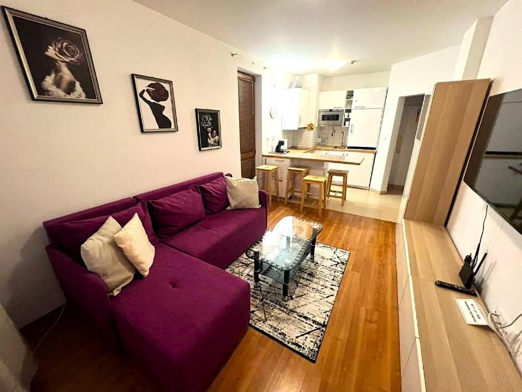 Vip Apartment Belvedere Club 班斯科 外观 照片